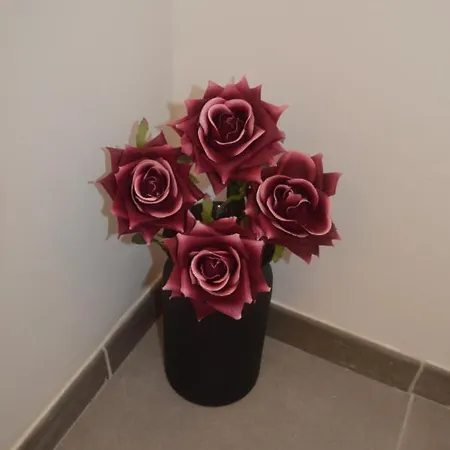 Sueña Toledo-piscina * Toledo