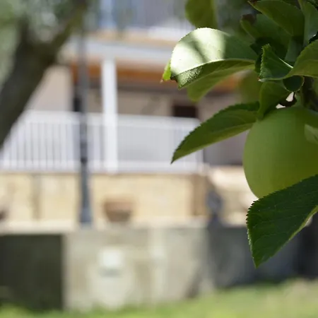 Sueña Toledo-piscina *