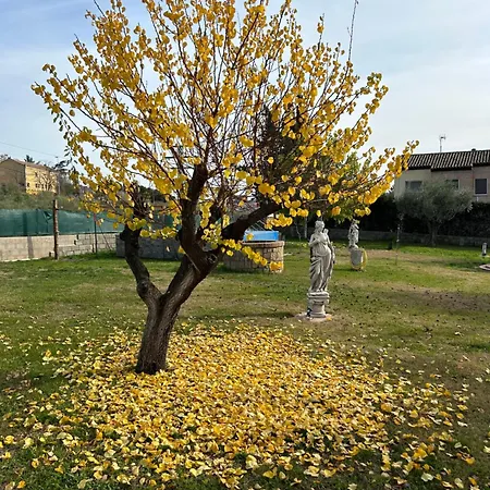 Сasa de vacaciones Sueña Toledo-piscina