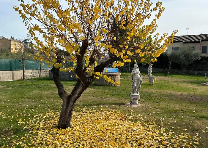 בית נופש Suena