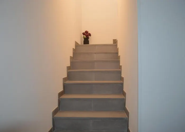 Tatil Evi Suena Toledo