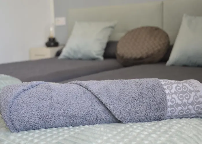 Suena Tatil Evi Toledo